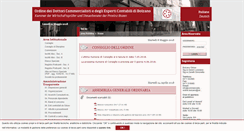 Desktop Screenshot of commercialistibolzano.org